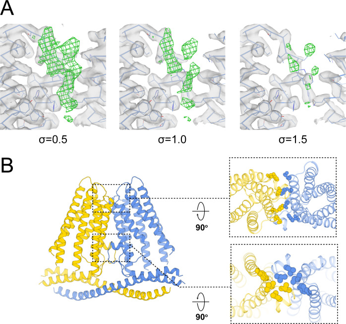 Figure 3—figure supplement 3.