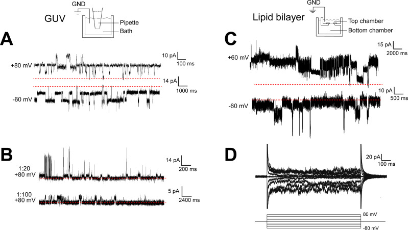 Figure 2.