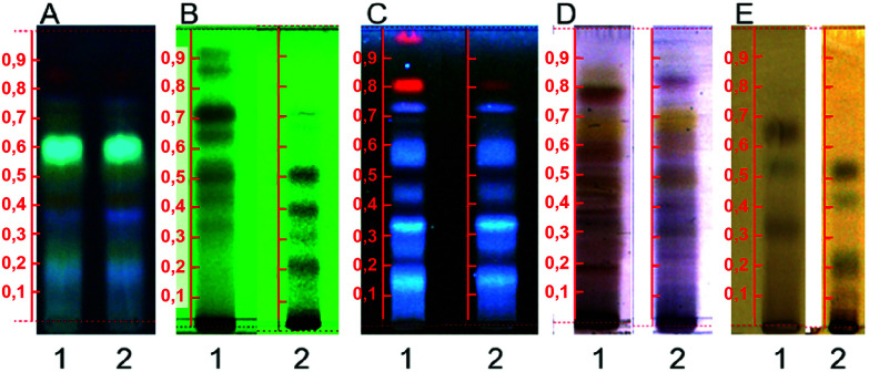 Fig. 2