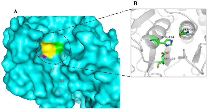 Fig. 4