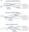 Figure 1—figure supplement 3.
