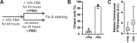 Figure 1—figure supplement 5.