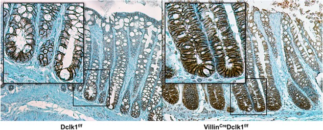 Fig 9