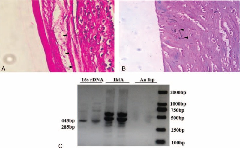 FIGURE 2