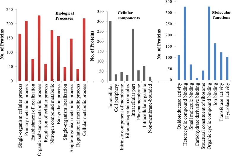 Fig. 3