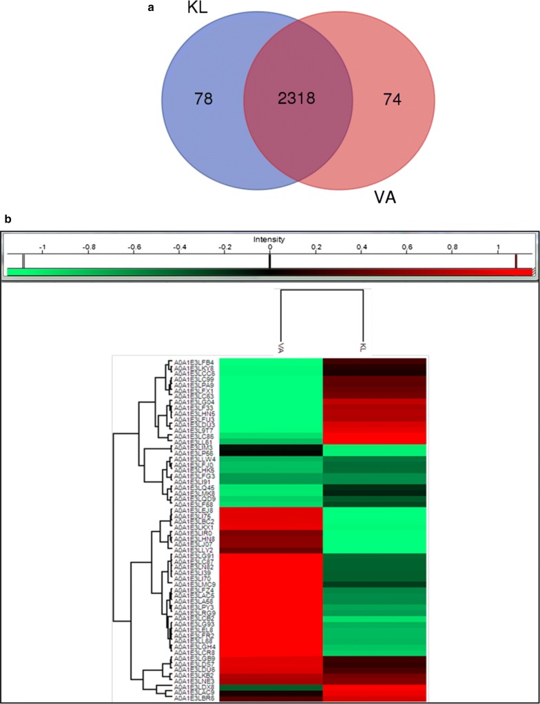 Fig. 7