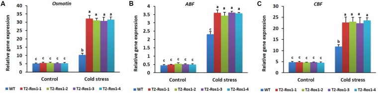 FIGURE 11