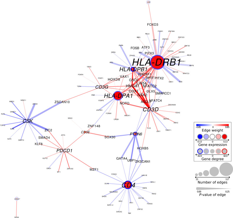 Figure 4. Network representation of the PD1 signaling pathway in discovery dataset 1. Node size corresponds to the number of edges connected in the graph; line width of edges corresponds to their significance in differential regulation. Gene targeting scores (or “degrees”) are shown with a circle surrounding the node. Red, higher expression/targeting in short-term survivors; blue, higher expression/targeting in the long-term survivors.