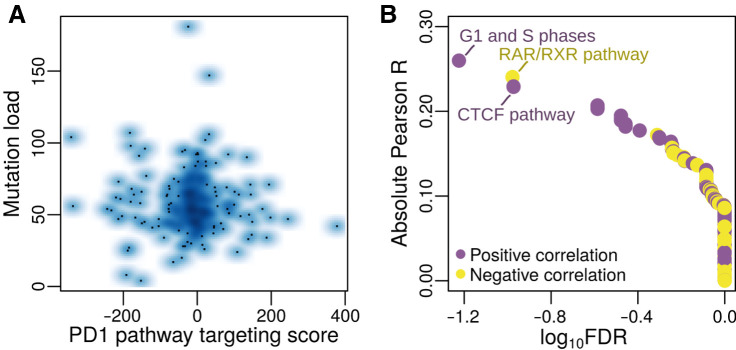 Figure 5. Association of PD1 pathway targeting with mutation data. A, Smooth scatterplot comparing PD1 targeting scores with mutation load. B, Results from the association of PD1 pathway scores with mutation scores in individual pathways. The three most significant pathways are labeled. Purple dots, pathways with positive correlation; yellow dots, pathways with negative correlation.