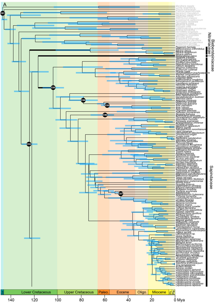 Figure 4A