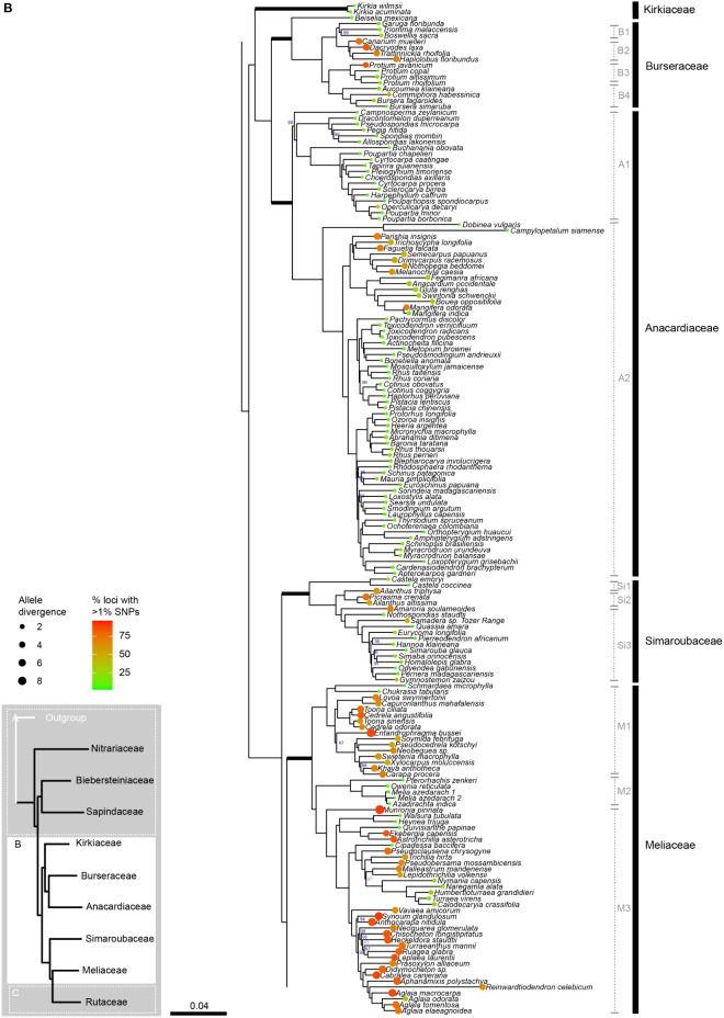 Figure 2B