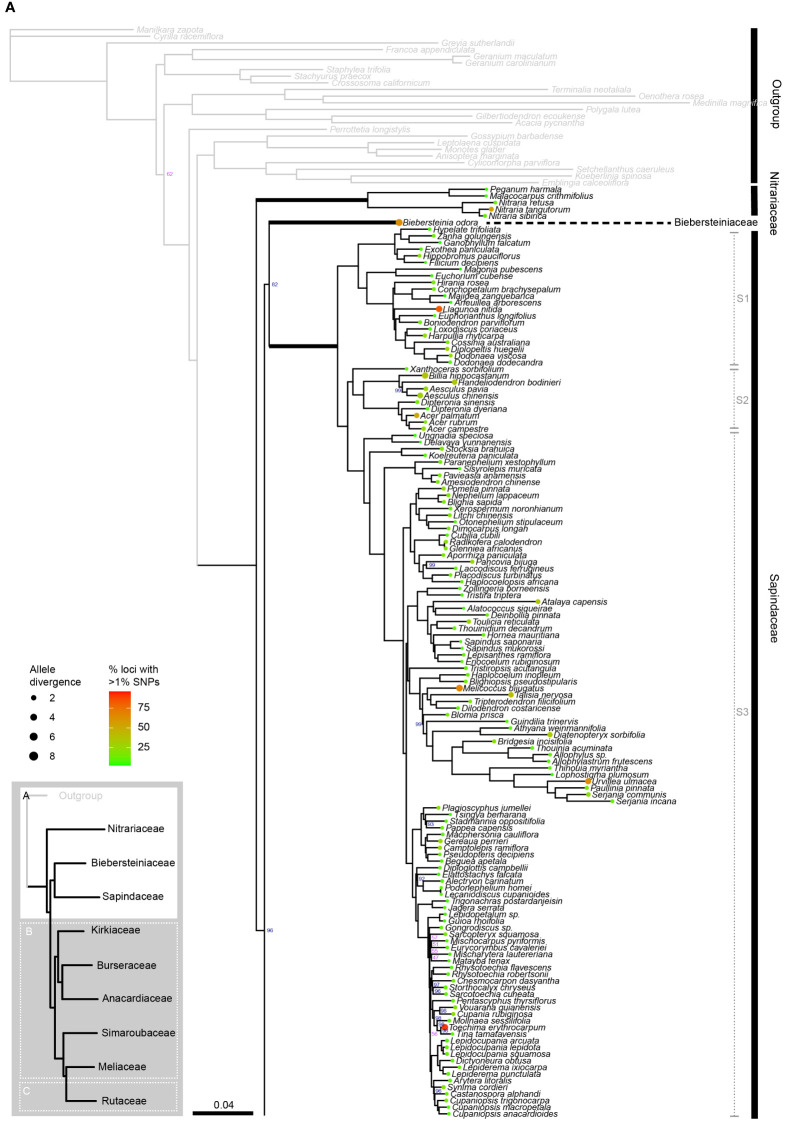 Figure 2A