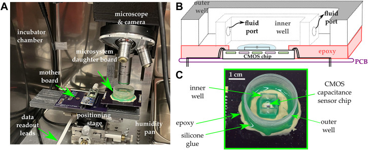 FIGURE 2