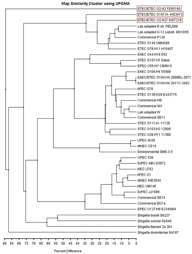 Comparative Genomics and Characterization of Hybrid Shigatoxigenic and ...