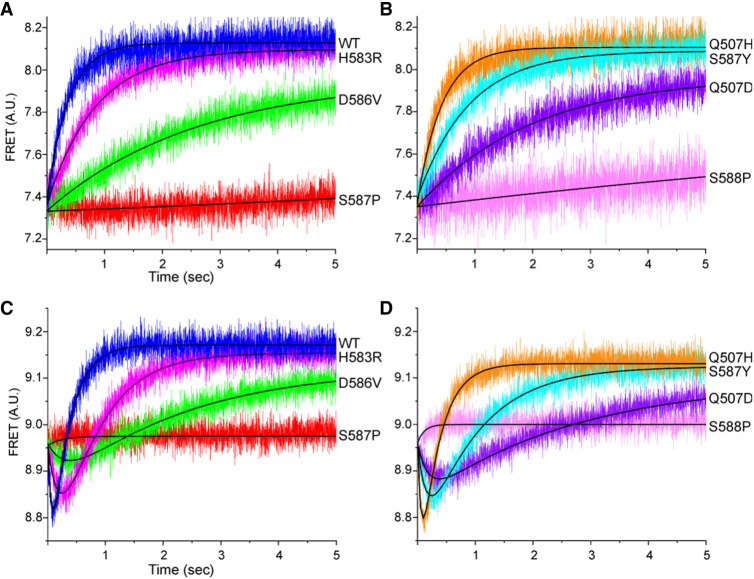 FIGURE 5.