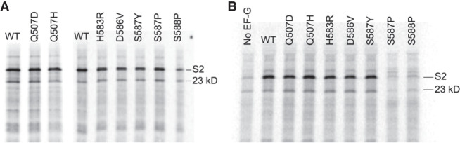 FIGURE 4.