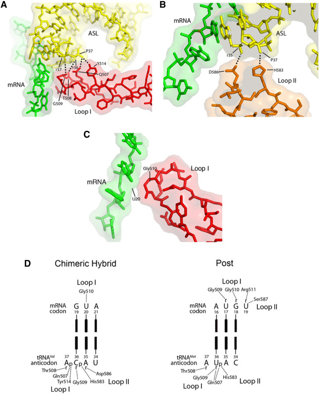 FIGURE 9.