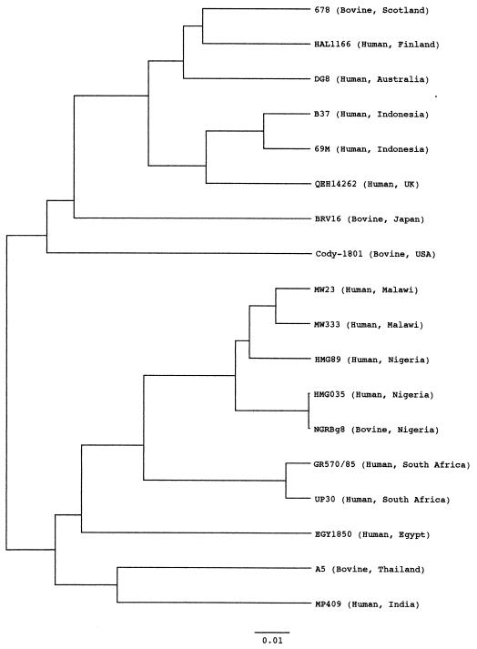 FIG. 2.