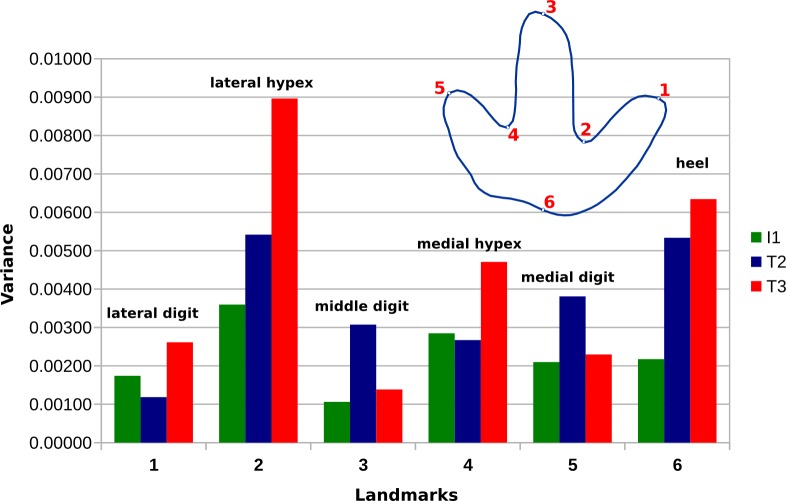 Figure 13