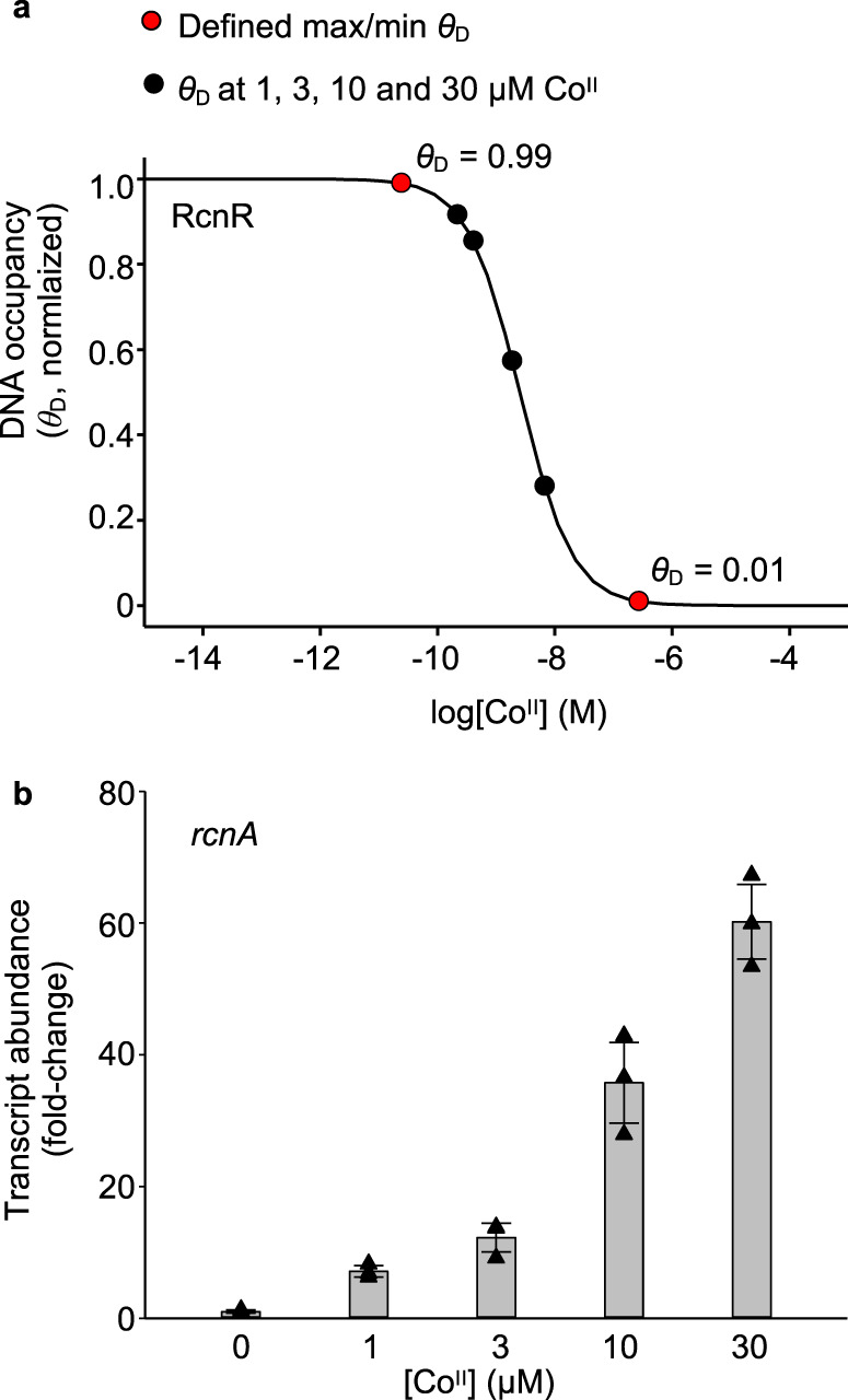 Fig. 8