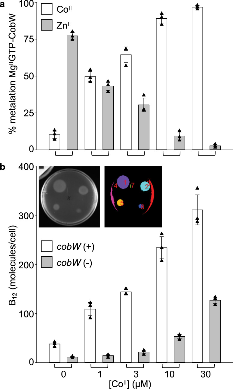 Fig. 9