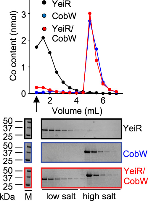 Fig. 7