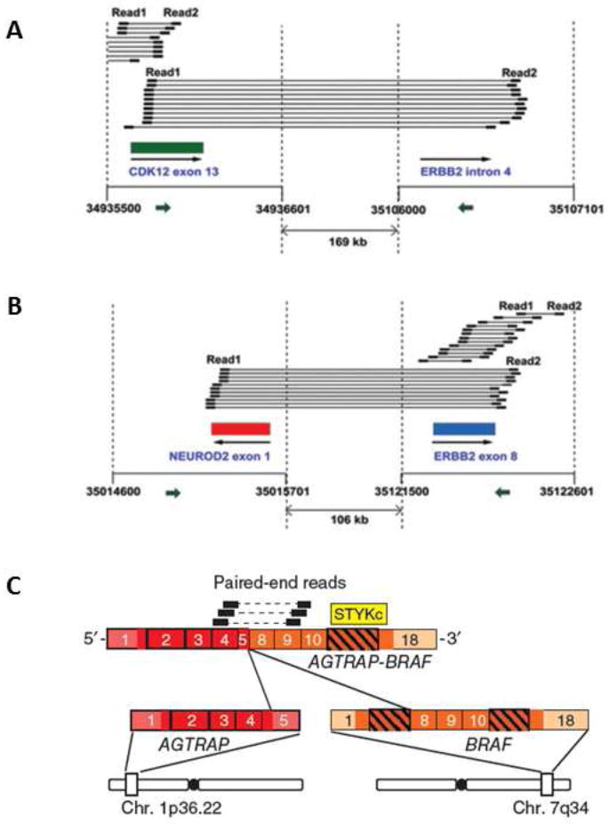 Fig.2