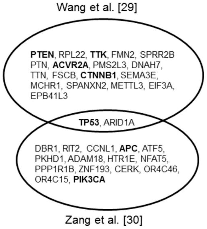 Fig.1