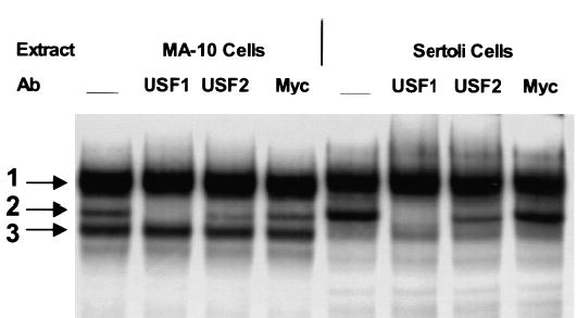 FIG. 7