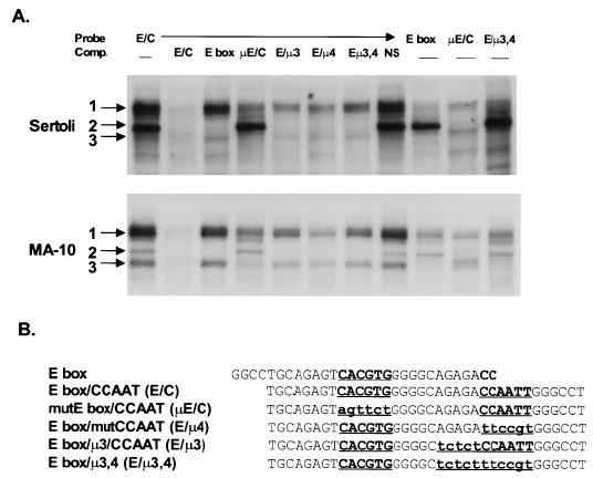 FIG. 6