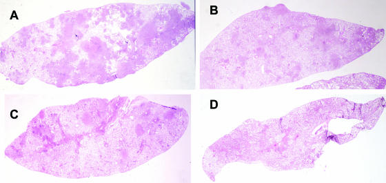 FIG. 5.