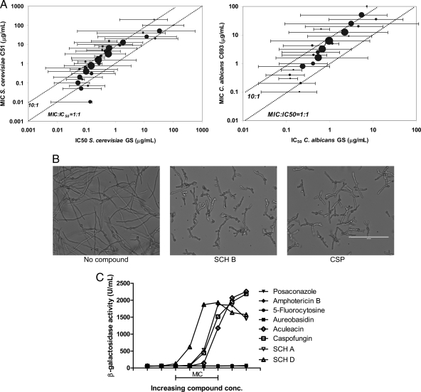 Fig. 2.