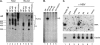 Fig 9