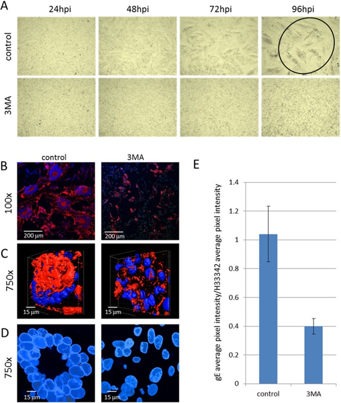 FIG 6