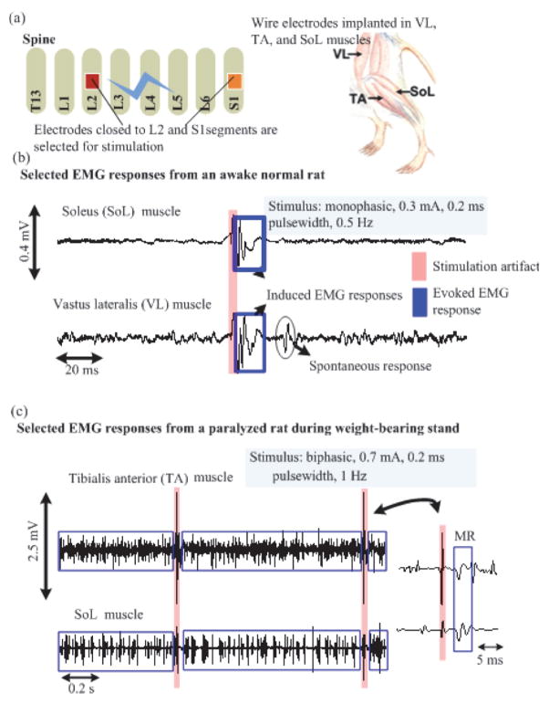 Fig. 14