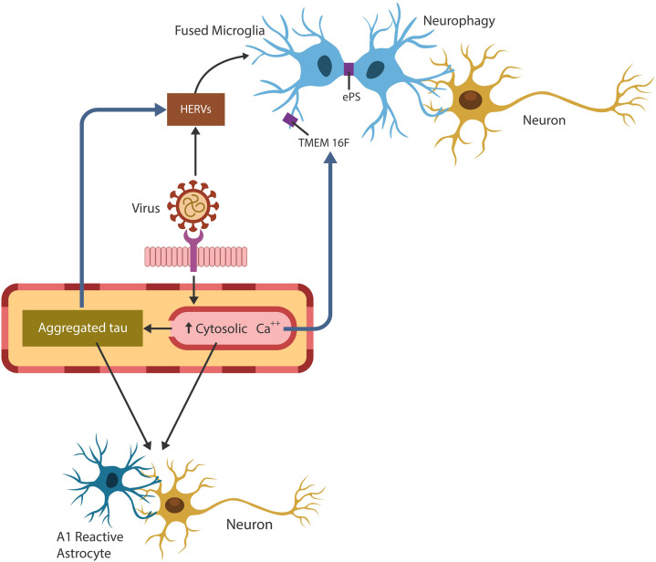 Graphical Abstract