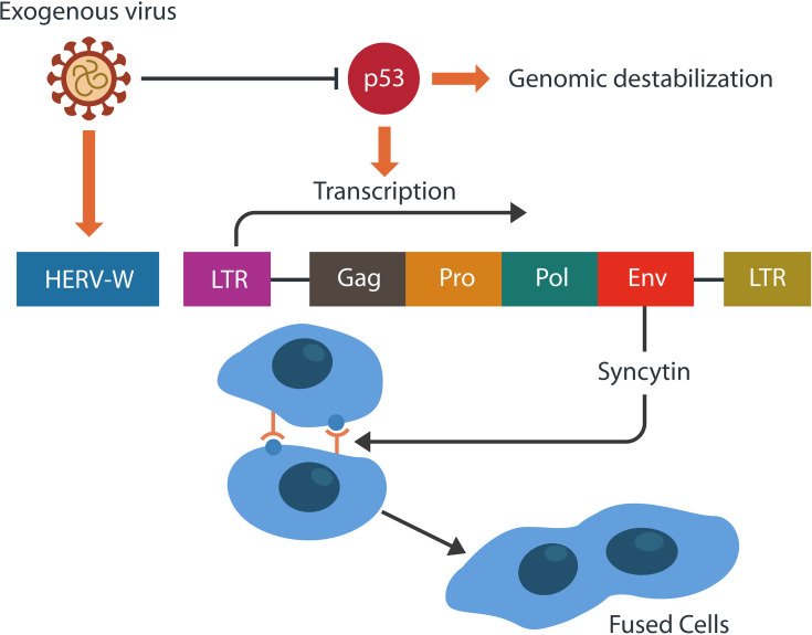 Figure 4