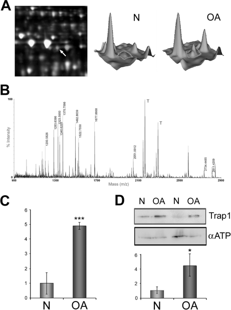 Fig. 9.