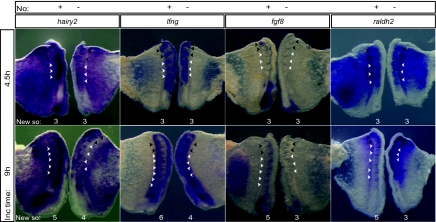 Fig. 3.