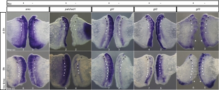 Fig. 6.