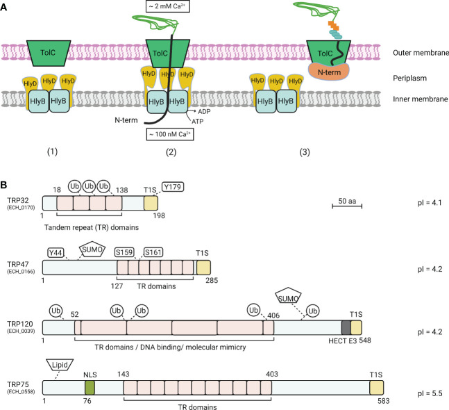 Figure 1