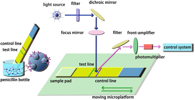 Fig 1