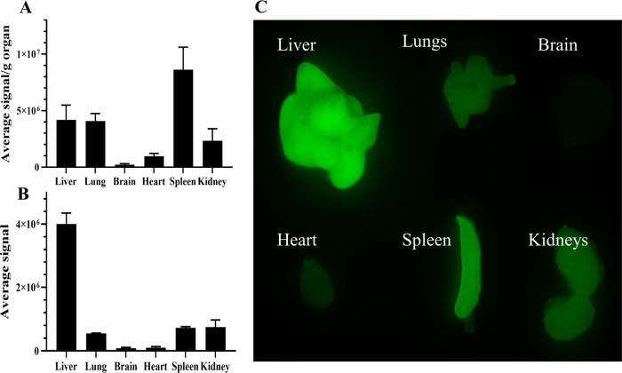 Figure 11