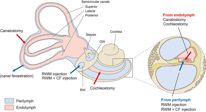 FIGURE 3