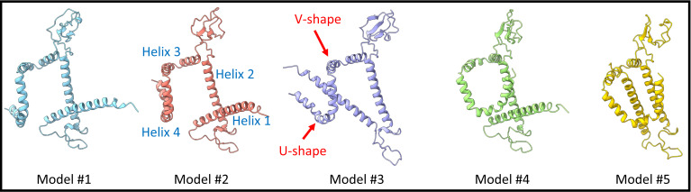 Figure 4.