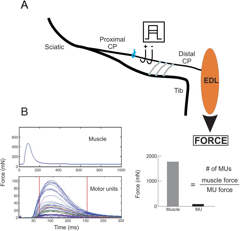 Fig 4