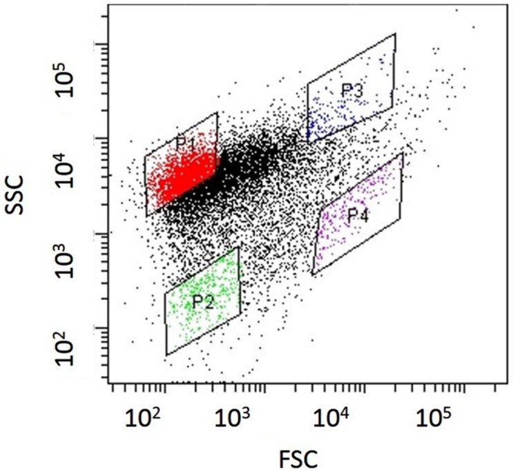 FIGURE 2