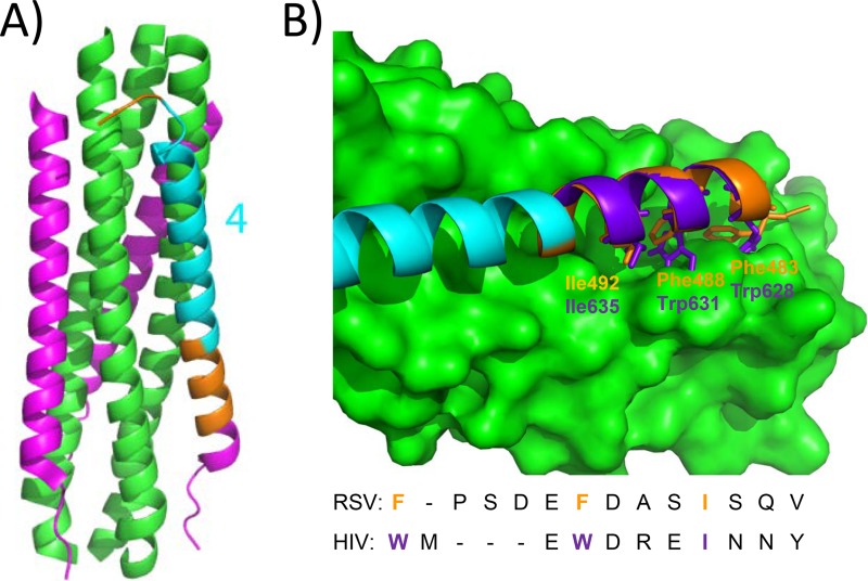 FIG 11