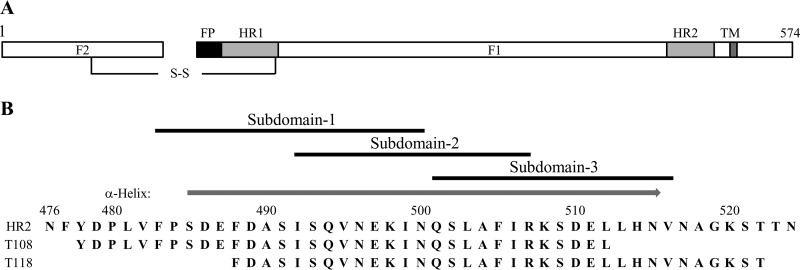 FIG 1