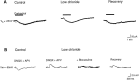 Fig. 11.